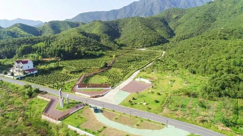國(guó)家級(jí)示范，浙江新增4家！