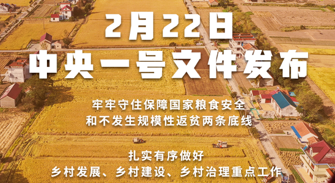 2022年中央一號文件發(fā)布！接續(xù)實施農(nóng)村人居環(huán)境整治提升五年行動
