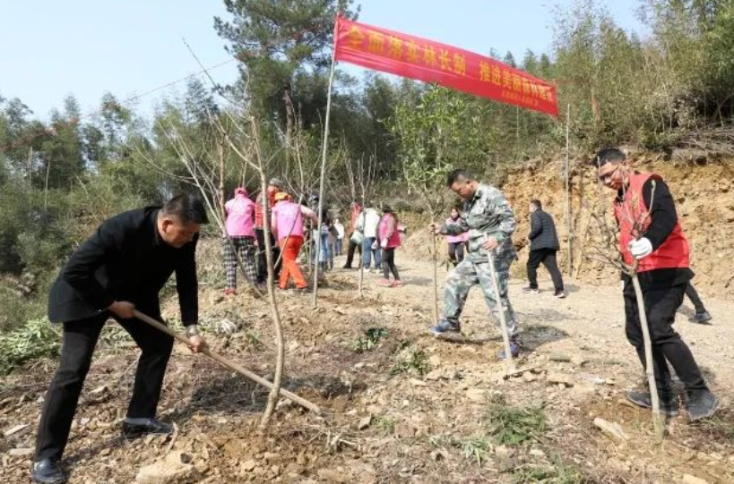 鎮(zhèn)政府向村集體認購森林碳匯抵消機關碳排放 太湖源鎮(zhèn)創(chuàng)建低碳小鎮(zhèn)又有新“玩”法