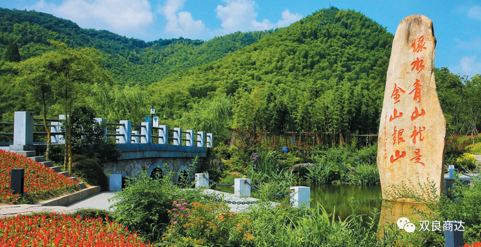 臥虎藏龍取景地，安吉大竹海！商達五鶴村農(nóng)村污水示范站點投入試運行