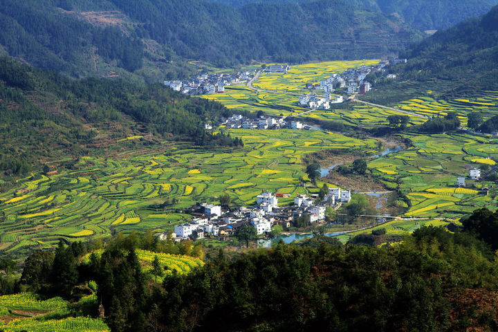 浙江?。盒略鲛r(nóng)村行政村環(huán)境整治1100個，基本消除農(nóng)村黑臭水體