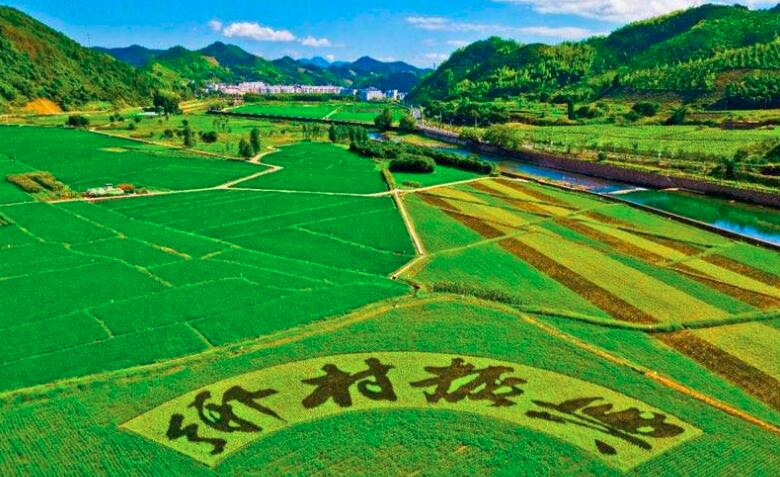 鄉(xiāng)村振興規(guī)劃實(shí)施進(jìn)展如何？這場發(fā)布會劃重點(diǎn)：系統(tǒng)治理優(yōu)生態(tài)