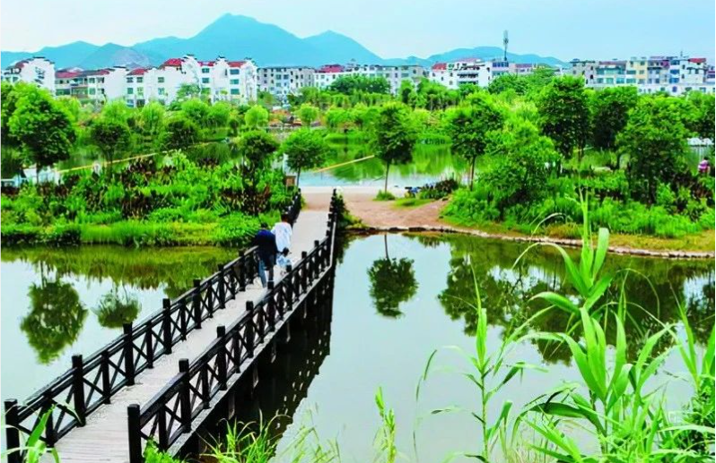 《中國環(huán)境報(bào)》頭版頭條：浙江構(gòu)建降碳、減污、擴(kuò)綠、增長整體智治體系