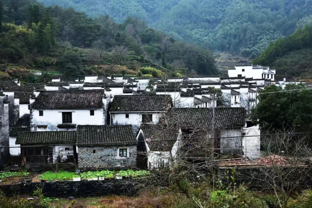 七部門明確！在農(nóng)村人居環(huán)境整治提升中統(tǒng)籌考慮減污降碳要求