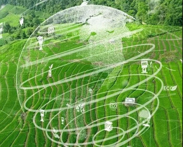 農(nóng)業(yè)碳匯加速入局碳交易，農(nóng)產(chǎn)品固碳價(jià)值“變現(xiàn)”可期