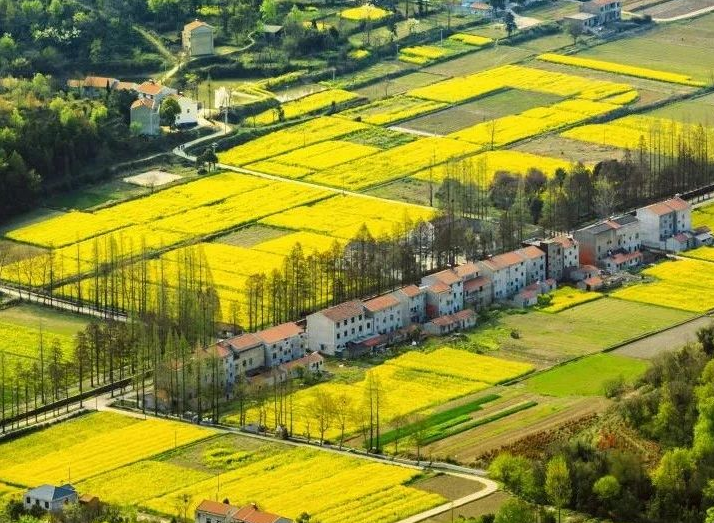 2025年治理率達到65.76%以上，武漢市農(nóng)村生活污水治理三年行動實施方案發(fā)布
