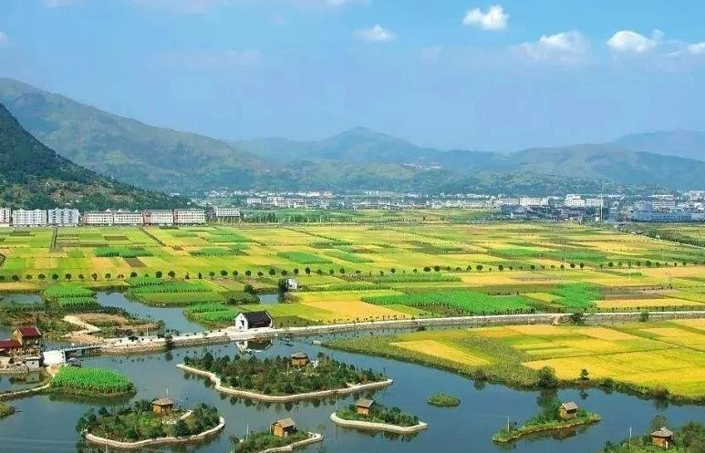 鄉(xiāng)村振興工作滯后，約談！江西省委、省政府發(fā)布《江西省鄉(xiāng)村振興責(zé)任制實(shí)施細(xì)則》