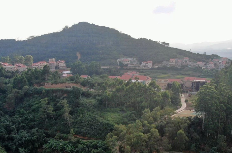 福建廈門：鼓勵(lì)打造綠色生態(tài)宜居的美麗鄉(xiāng)村