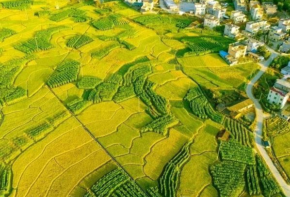 農(nóng)村污水處理：不同省份如何因地制宜？