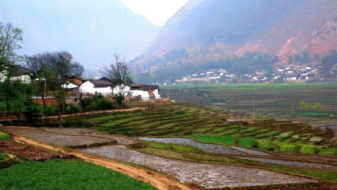 濟寧：農(nóng)村污水治理全域統(tǒng)籌，提升治理水平