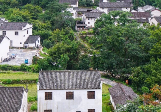 安徽六安市生態(tài)環(huán)境局發(fā)布《2024年六安市土壤、地下水污染防治和農(nóng)村生態(tài)環(huán)境保護工作要點》！