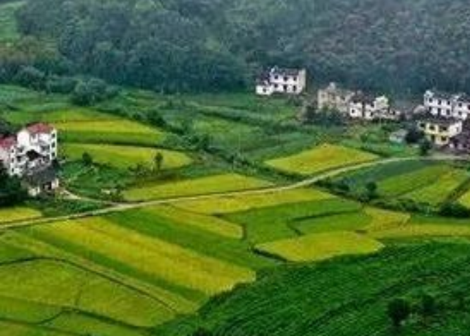 年安排3億元！福建加快推進(jìn)農(nóng)村生活污水提升治理！