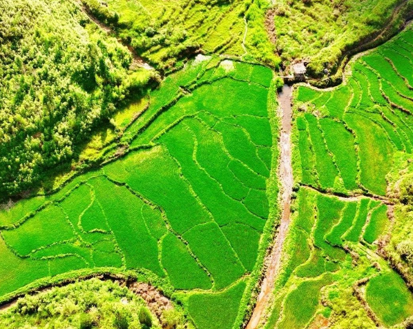 中共中央辦公廳　國務院辦公廳關于加強耕地保護提升耕地質(zhì)量完善占補平衡的意見（全文）