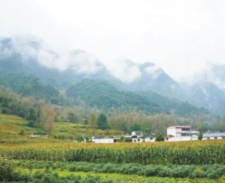 甘肅?。恨r(nóng)村生活污水治理（管控）率達(dá)到29.47%以上