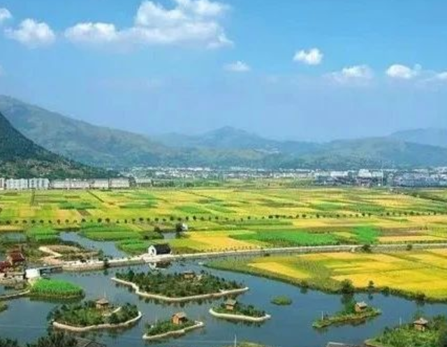 山東印發(fā)實(shí)施意見(jiàn)，大力發(fā)展現(xiàn)代設(shè)施農(nóng)業(yè)