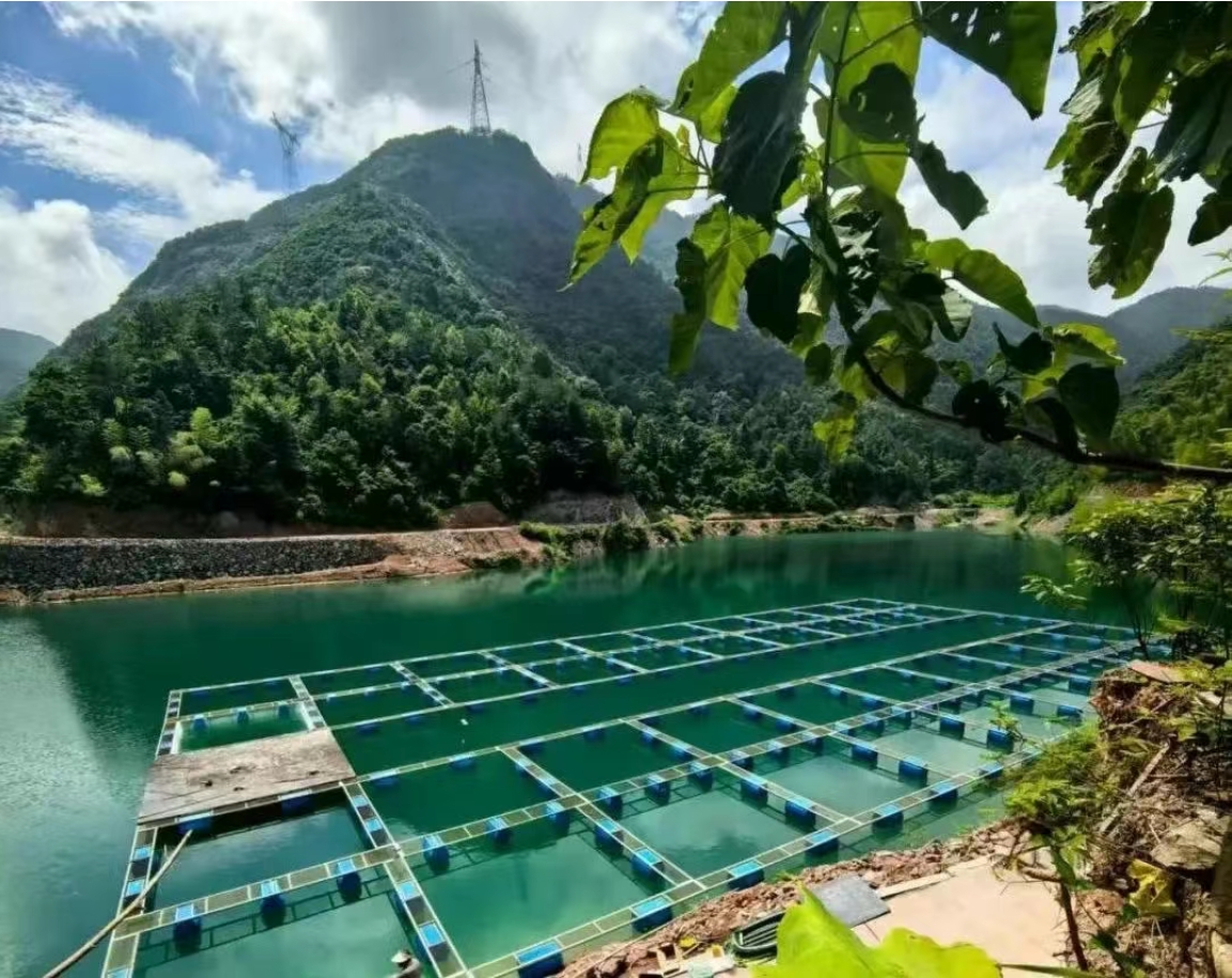 農(nóng)業(yè)農(nóng)村部專家組調(diào)研商達(dá)公用縉云山泉魚(yú)生態(tài)養(yǎng)殖項(xiàng)目