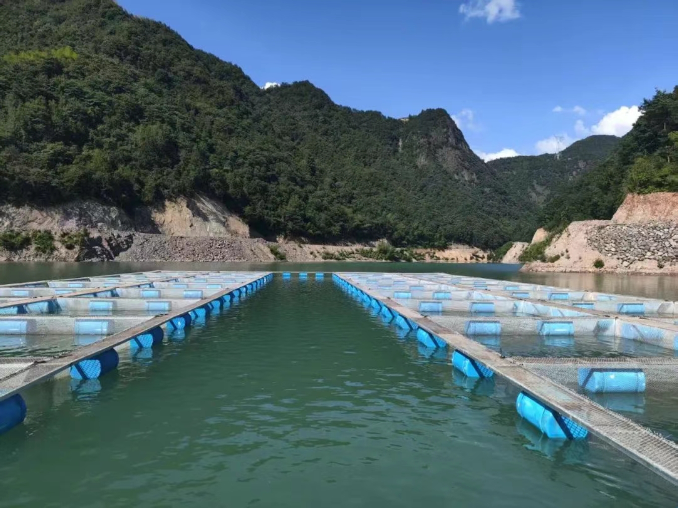高山水庫(kù)商達(dá)公用生態(tài)魚(yú)養(yǎng)殖基地正式啟用