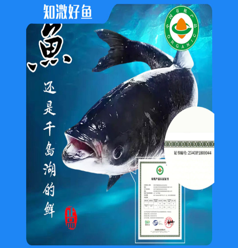 千島湖有機(jī)鳙魚頭